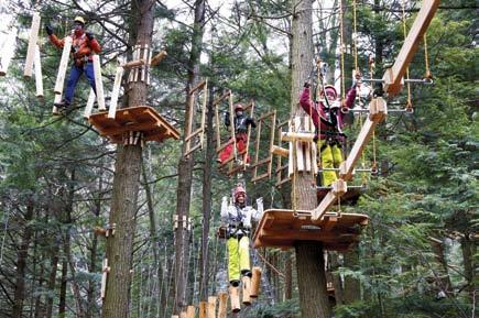 WE WELCOME GROUPS RAMBLEWILD IS ALSO A GREAT, NEW WAY FOR GROUPS TO INTERACT AND HAVE FUN IN OUR TEAM-BUILDING,