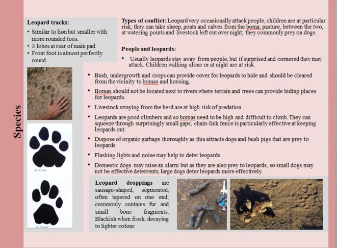EASTERN AFRICA Human-Carnivore Conflict Toolkit developed for Tanzania Cheetahs and wild dogs have been getting into trouble with livestock herders since the beginning of time, but today s rapidly