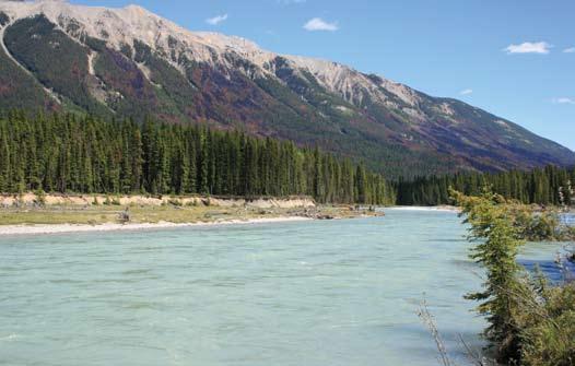 2. Importance of Kootenay National Park Kootenay National Park was established in 1920 as part of an agreement between the provincial and federal governments to build the Banff-Windermere Highway the