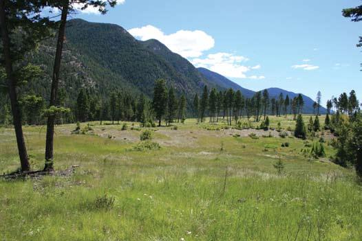 For thousands of years, the area that is now Kootenay National Park was part of the traditional lands used by several First Nations, including the Ktunaxa (Kootenay), Stoney, Kinbasket (Shuswap), and