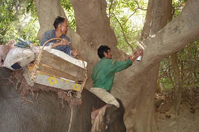 Improving livelihoods through Community Protected Area management Text by Son Bora and Samrang Dyvicheth Almost all rural Cambodians use forest resources for construction materials, cooking fuels and