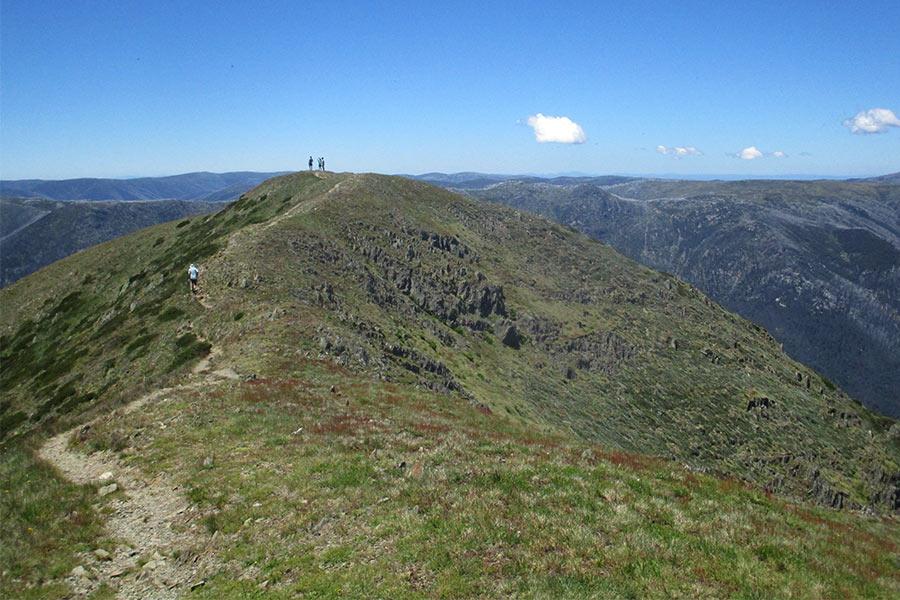 Weather can change quickly in the Alps, so be prepared with clothing (raincoat & sunhat) and suﬃcient water. The view of the ﬁnal saddle and summit of Mt Feathertop.