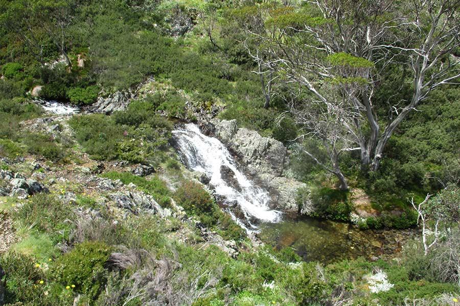 Freeze your giblets oﬀ swimming in Howman Falls, a half-hour trip from Cleve Cole Hut south of Bogong. Preparation Carry the usual gear as required for day walks or overnight hiking.