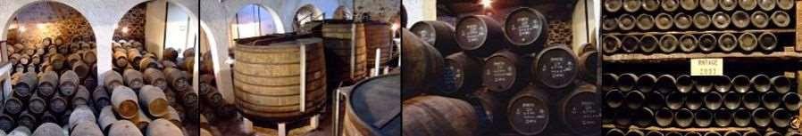 Port Wine, a symbol of Portugal in the world, holds the history of a country and its people and has become through the years a cultural landmark of the work, experiences, knowledge and art gathered