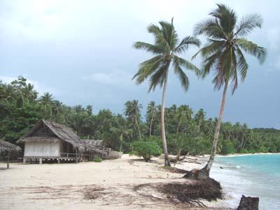 WEWAK ISLANDS SIDE TRIP 3 NIGHTS (optional, may be omitted) The two largest of the scattering of islands off the coast of Wewak are Muschu and Kairiru.