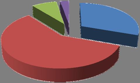 Struktura korisnika Matičnog društva i zavisnih društava po linijama usluga u 2013.