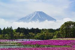 Day 6: Hakone, Dinner Transfer 2 hours to Japan s most iconic landmark Mount Fuji.