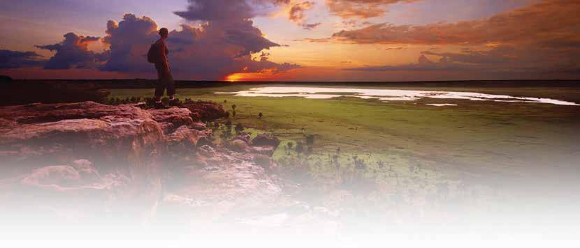 THE TOP END LOOP (5 DAYS) Wildlife & Wetlands Region, Kakadu National Park (Permit Required), Katherine Region and Litchfield Region Day 1 - Wildlife & Wetlands/Kakadu Learn the culture of Aboriginal