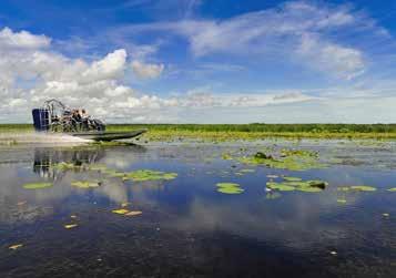 Experience a jumping crocodile cruise, a relaxing wildlife and wetland cruise or take an airboat ride. Learn the culture of Aboriginal people with spear throwing and basket weaving.
