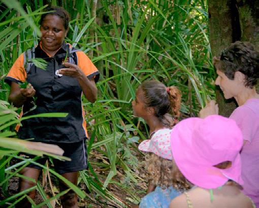 Ingan Tours ABORIGINAL OWNED Experience the unique culture of Rainforest Aboriginal people on Ingan Tours walking and kayaking tours.