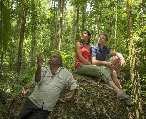 Voyages Indigenous Tourism Australia - Mossman Gorge Centre ABORIGINAL OWNED Take a journey steeped in heritage, ancient culture and traditions with a tour through Mossman Gorge.