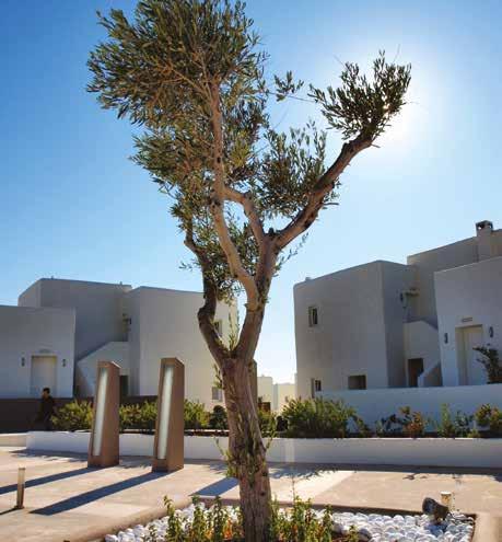 The complex of Paros Agnanti consists of 6 Cycladic architectural style buildings built on equal hills and are perfectly harmonised with the natural landscape. very good 5 * property.