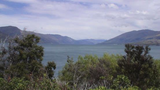 Arriving at Haast, we are surrounded by a landscape of rainforest, wetlands, sand dunes and surf-pounded