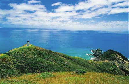 Day 3: Wednesday 14th November, 2018 BAY OF ISLANDS We have a touring day to Cape Reinga, the northernmost tip of New Zealand.