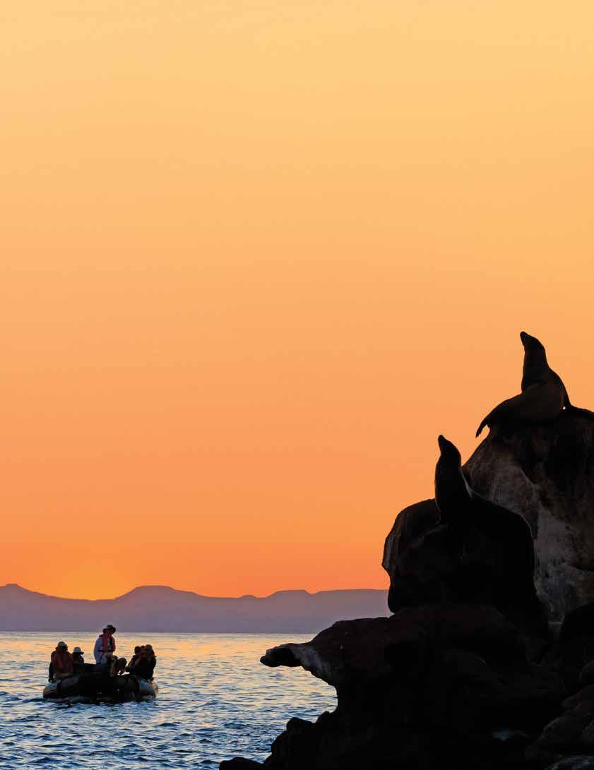 BAJA CALIFORNIA AND THE SEA OF CORTEZ: AMONG THE GREAT WHALES 8 DAYS/7 NIGHTS ABOARD NATIONAL GEOGRAPHIC SEA BIRD AND NATIONAL GEOGRAPHIC SEA LION PRICES FROM: $6,590 to $11,390 (See page 23 for