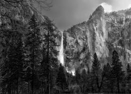 Yosemite AREA ACTIVITIES Ansel Adams Yosemite Photo Session Friday ONLY 12:15 pm 6:00 pm Photographer Ansel Adams immortalized Yosemite National Park through his classic black & white images.