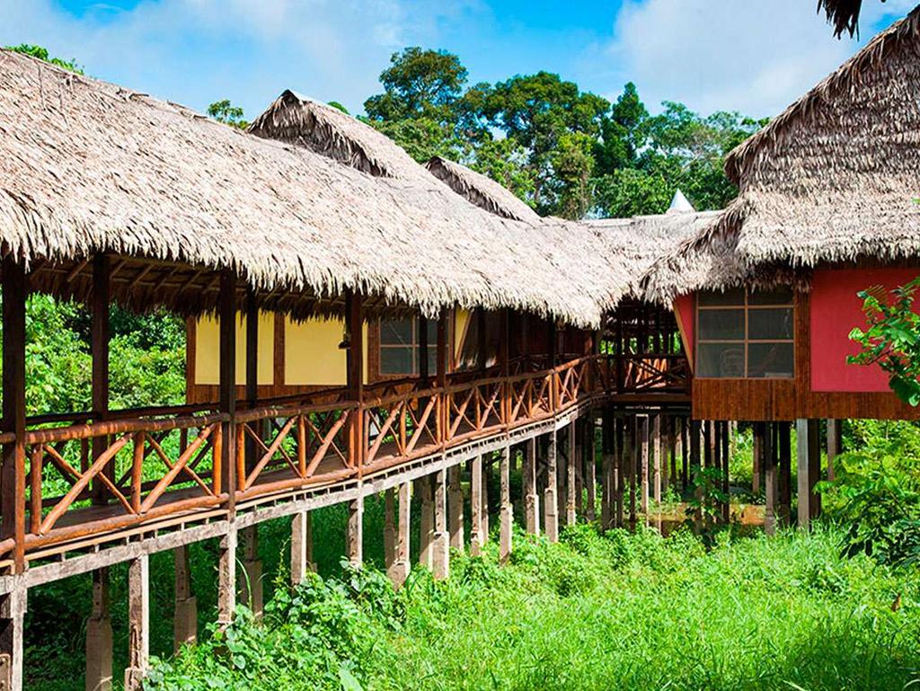 Admire the Lodge s high ceilinged thatched roof made entirely of palm fronds, a rustic work of art.