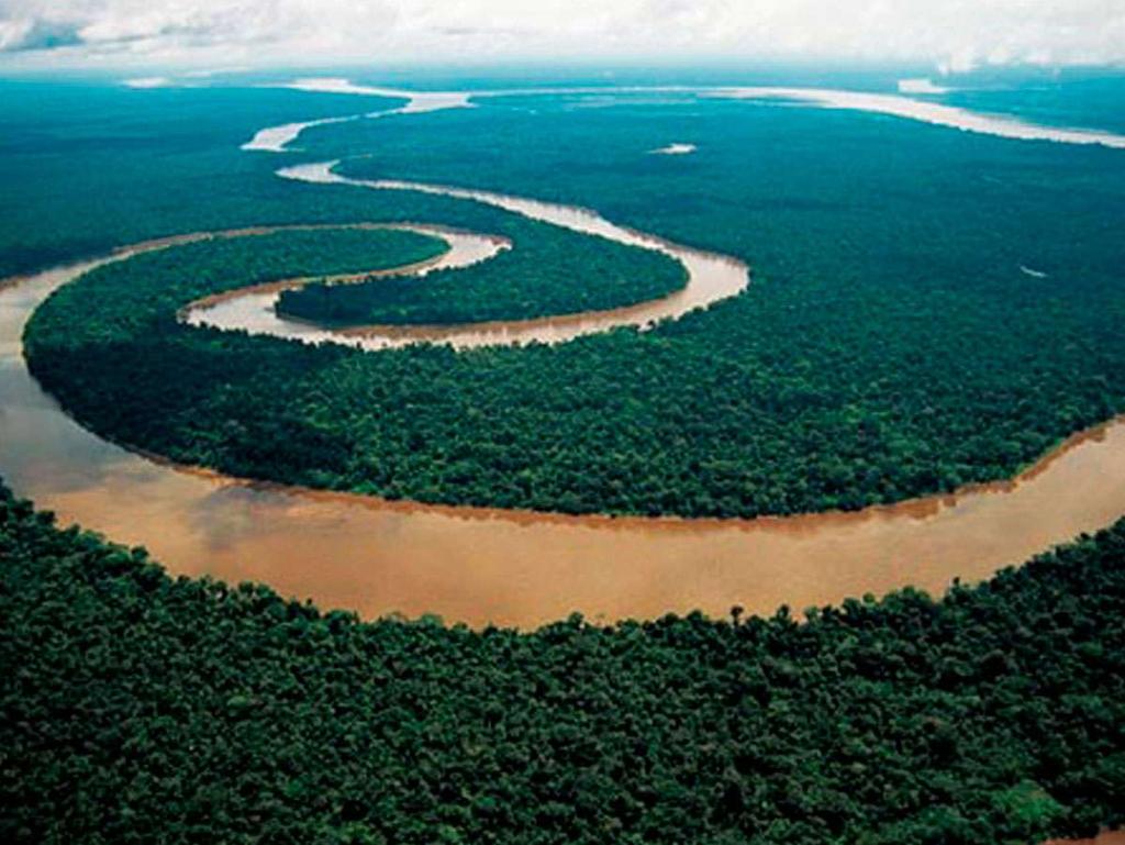 Amazon River Expeditions; a Tour Operator and Hotel holder with more than 40 years contributing with the Peruvian Tourism, in charge to provide authentic experiences in
