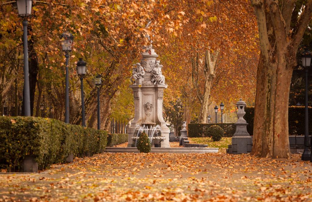 MADRID AUTUMN Reward yourself with a relaxing stroll through the parks and gardens of Madrid: the mild climate makes this the ideal time to enjoy the display of red and gold leaves as they fall from