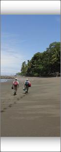 An expert bilingual guide takes us on a hike along beach trails from through mangrove to montane forests, habitat of four species of monkeys, as well as coatis, sloths, anteaters, and much more, as