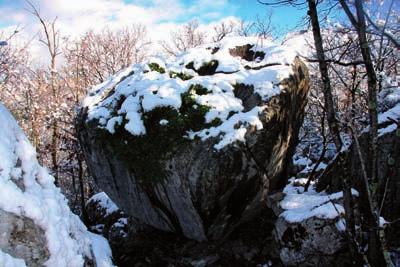 Hlebec (prilogi 1 in 2, Č4) Hlebec je kamniti osamelec na zahodnem delu previsa, imenovanega Gluhi dol. Ta kamnita skala ali stena, kot ji pravimo narečno v našem kraju, ima podobo hlebca.