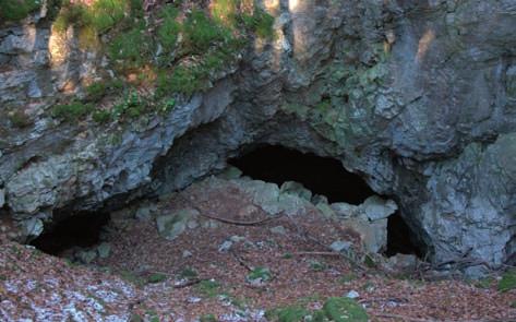 Spodmol Rupa z zidom Notranjost spodmola Rupa M`rave (priloga 1, C3) Kakšnega pol kilometra proti zahodu od jame Vilenice je predel, ki mu Lokavci že od nekdaj pravijo M`rave (Morave).