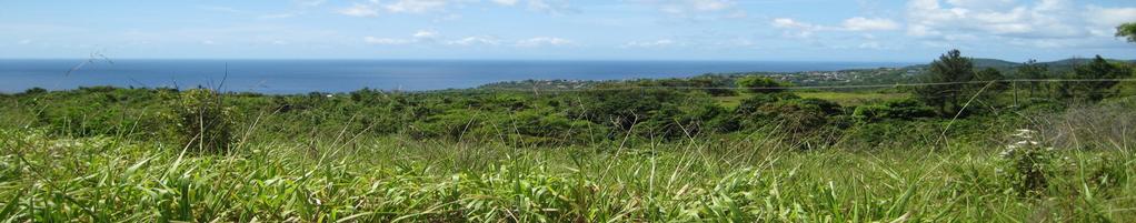 GENERAL DESCRIPTION This is a unique opportunity to acquire a sizeable area of freehold land in St Lucia with beach front (subject to Queen s Chain), over 2 miles of frontage to both sides of the