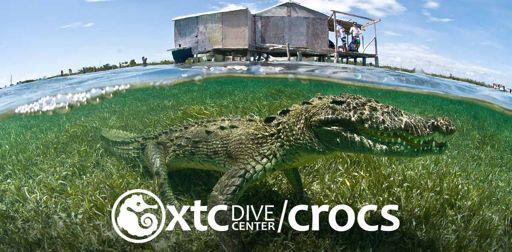 CROCODILE EXPEDITION- Yucatan Mexico Join Dr.