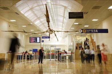 Airports Revenues % EBIT % EBITDA % EBITDA Margin Airports 1,414 (6) 490 (16) 792 (9) 56.1% Business Strategy: Protect aeronautical revenue 13 airports: 11.
