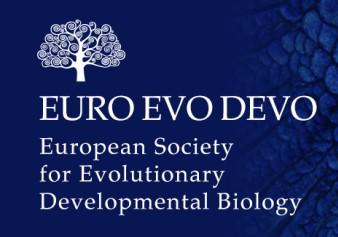EURO EVO DEVO 2018 The 7th Meeting of the European Society for Evolutionary Developmental Biology will take place in the National University of Ireland Galway, Ireland from the 26 29 June 2018.