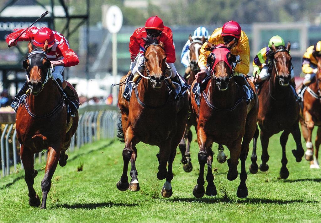 Spring Racing Carnival Experience all the colour, excitement & glamour Don t miss the opportunity to see the next chapter of Australian horse racing unfold!