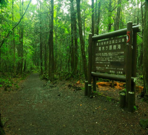 Special Areas of Japan Aokigahara, also known as the Suicide Forest or Sea of Trees, is a 35-