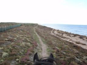 Findhorn to Burghead This section of route is best done on horseback at low tide when you can ride for 7 miles along the beach between Findhorn and Burghead.