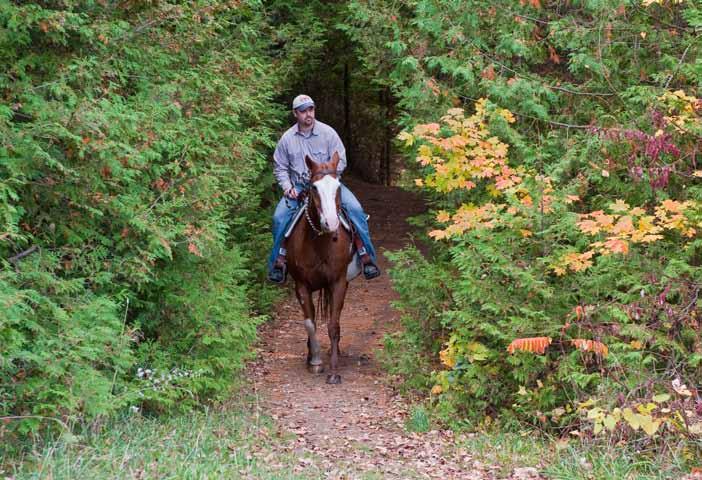 HORSE CAMPING Reserve by calling 519-353-7206 Administration 