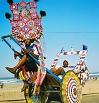 Then past the so-called Apartheid Beaches, the Marine Parade (Golden Mile) where you will see the rickshaws, en route to the impressive developments at the new Point Waterfront area.