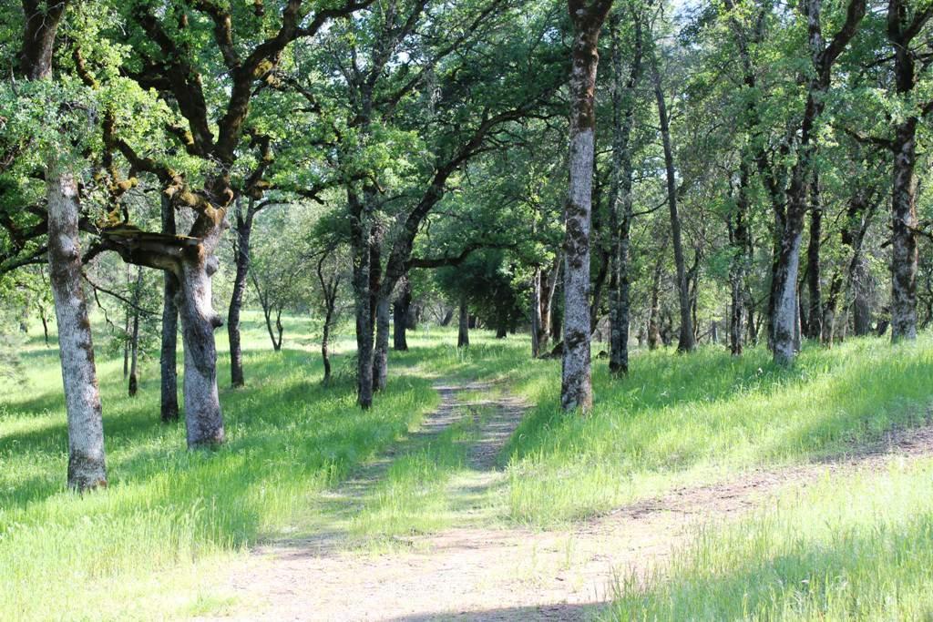 Weather and El Dorado County One of the many trails through the ranch As stated on El Dorado County s website: El Dorado is at the heart of California's Gold Rush country, often called the "Mother