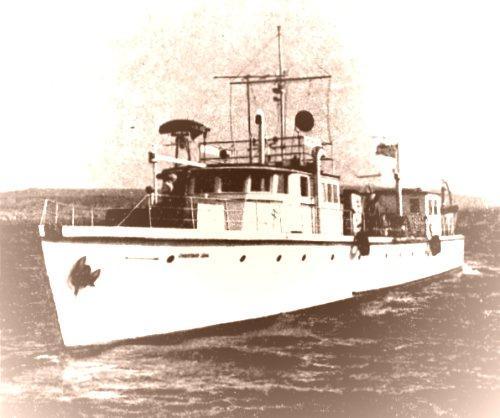 A hospital ship, the Lady Anderson, was bought to provide health services to the