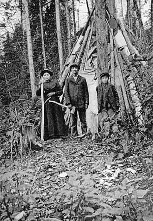 Some Mi kmaq worked as loggers as fur