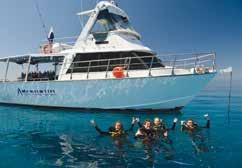 Certified divers will receive a thorough dive safety briefing before following turtles and reef sharks along the reef edge and exploring the hidden gems of the Great Barrier Reef.
