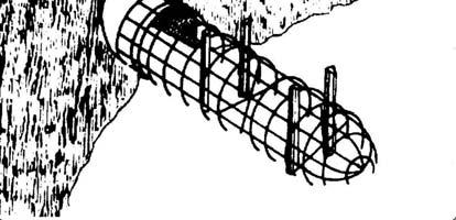 Možna rešitev bi bila postavitev opozorilnih tabel in dobra vidljivost napeljane električne ograje. Električna ograja lahko sestoji tudi iz treh žic v razmaku 10 cm (New York state, 2008).