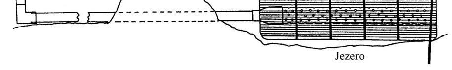 67 Slika 19: Clemsonov izenačevalec vodne gladine (vir: Miller in Yarrow, 1994) Uporaba repelentov je še eden izmed načinov, ki bolj ali manj učinkovito preprečuje poškodbe na drevnini in pridelkih.