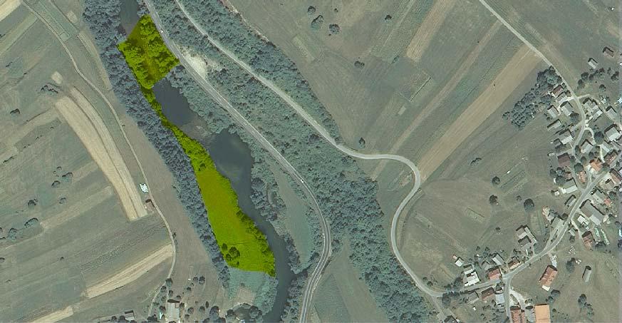 78 Slika 20: Raziskovalno območje ob reki Krki med Žužemberkom in Dvorom (vir: Atlas okolja, 2008) 5.1.2 Rezultati Skupno smo popisali 132 dreves, ki so večinoma rasla v šopih.