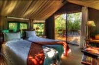 Accommodating just 24 guests in custom African-style safari tents on raised teak platforms, Camp Okavango offers guests en-suite