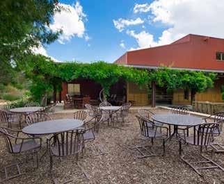 SAGES CENTER PATIO The perfect space for an outdoor reception or break between meetings.