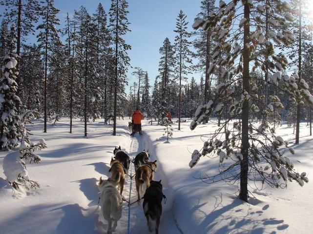 Lapland Wilderness Tour from 1395-24 th Nov to 20 th April 2019 The wilderness tour is designed someone on their first one week tour.