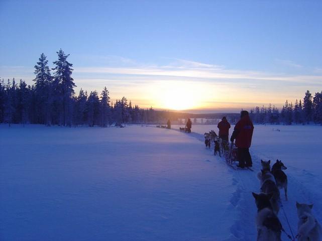 Monday: Now the Wilderness Tour begins. The safari takes you through the wild wide rolling landscapes of northern Lapland.