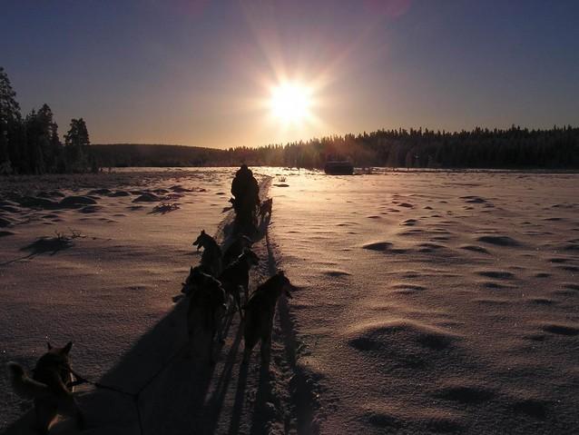 The daily stages are between 40 to 60 kilometres (4 to 6 hours mushing): including time for harnessing and unharnessing, you will spend about 8 hours with the dogs.