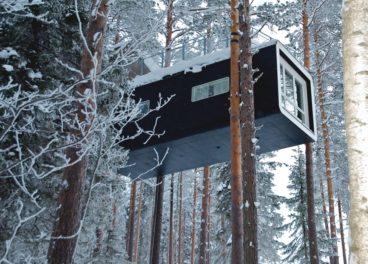 Treehotel The rooms are set between 4-6 meters from the ground in
