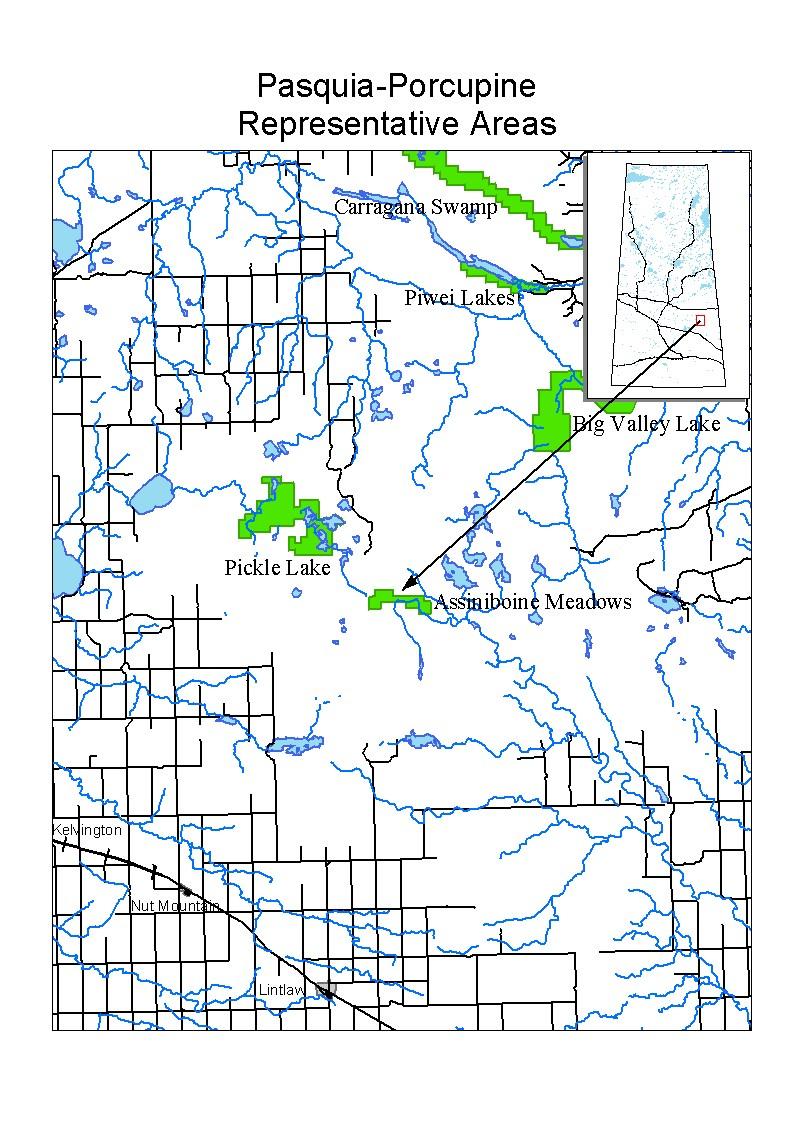 Appendix 1: Maps of Pasquia-Porcupine Representative Area Sites Assinibione