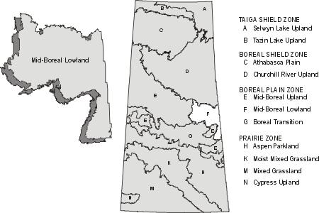 Mid-boreal Lowland The Mid-boreal Lowland Ecoregion contains 2,164,000 hectares (about 3% of the province), and is predominantly Crown land administered by SE.